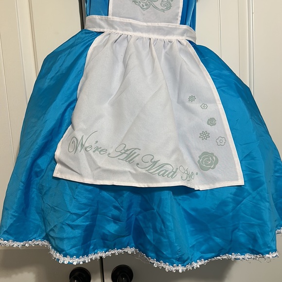 Disney Alice in Wonderland 4 piece costume Halloween Dress Apron Bow Wig Small - Picture 6 of 8